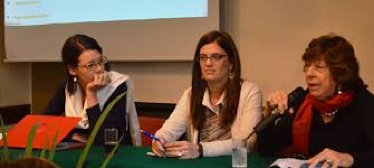 imagen El sitio web sobre despenalización del aborto en Argentina