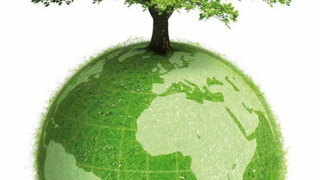imagen Día del Medio Ambiente: "El accionar de cada uno es clave y fundamental"