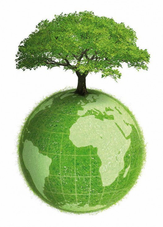 imagen Día del Medio Ambiente: "El accionar de cada uno es clave y fundamental"