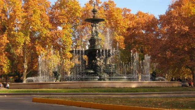 imagen En nuestra provincia hoy se celebra el día del árbol 