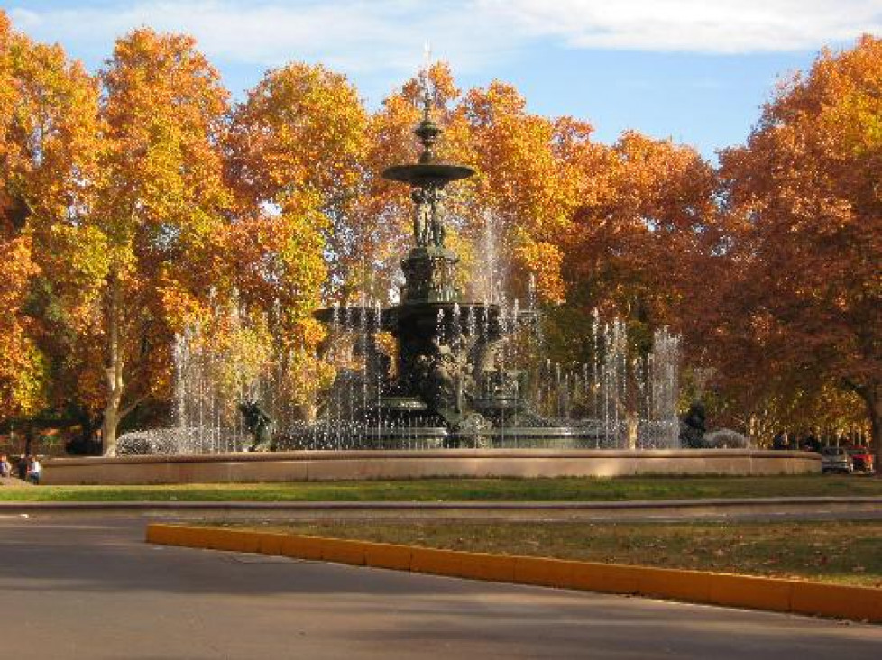 imagen En nuestra provincia hoy se celebra el día del árbol 