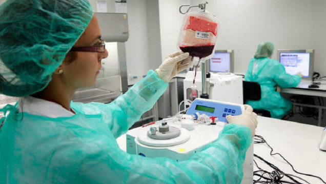 imagen Donar sangre de cordón umbilical, clave para tratar enfermedades 