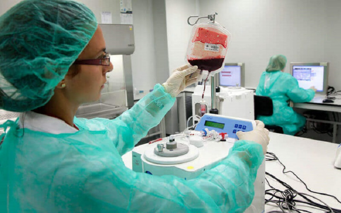 imagen Donar sangre de cordón umbilical, clave para tratar enfermedades 