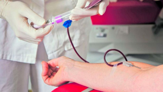 imagen Donación de sangre: existen protocolos para que los donantes estén seguros