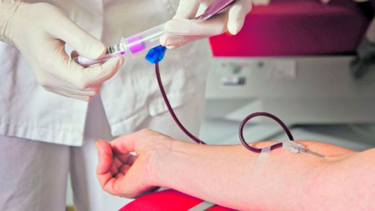 imagen Donación de sangre: existen protocolos para que los donantes estén seguros