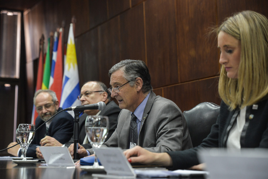 imagen Masiva cumbre de jóvenes investigadores en la UNCUYO