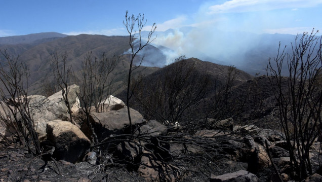 imagen Cerro Arco: los focos de incendio están activos, pero controlados