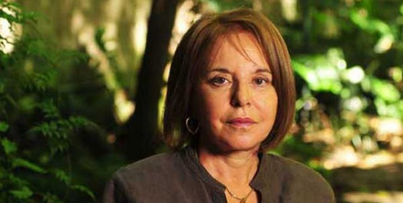 imagen "Hoy la gente no vota partidos, vota nombres o proyectos"