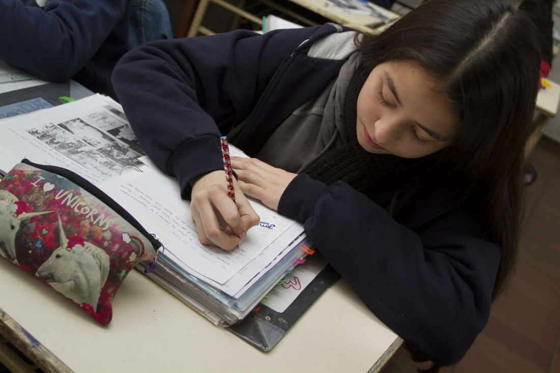 imagen En Mendoza, el 53,7% de estudiantes de secundaria no alcanza el nivel básico de Matemática