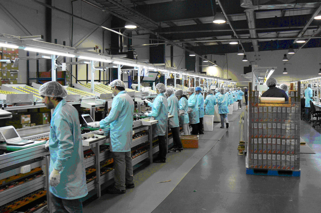imagen EMPLEO: LAS CONTRATACIONES PERMANECERÁN MODERADAS PARA EL TERCER TRIMESTRE