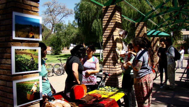 imagen Primavera con economía solidaria en la Casita Colectiva