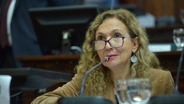 imagen El PJ reclama un "Consejo Anticrisis" a Cornejo