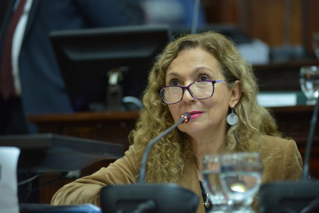 imagen El PJ reclama un "Consejo Anticrisis" a Cornejo