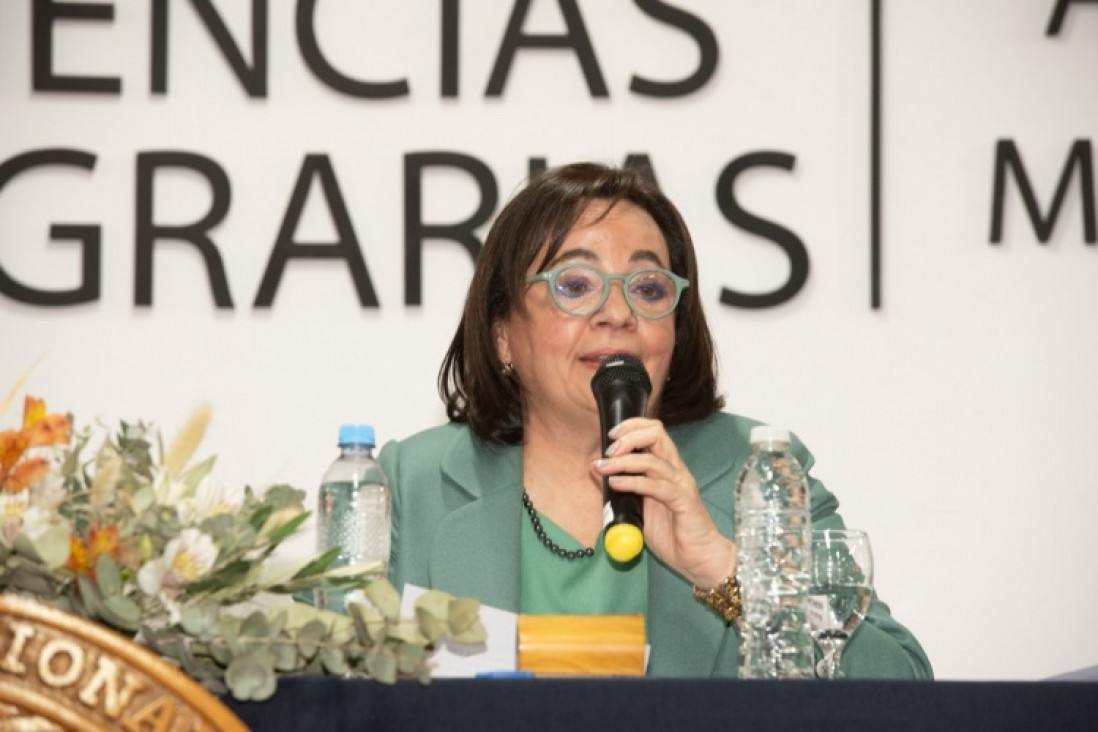 imagen Flavia Filippini: "Apuntamos a cambiar el saber enciclopédico por el saber hacer"