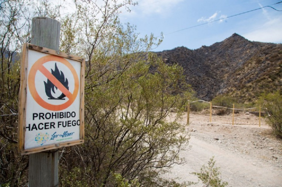 imagen "Todo ha sido intencional", dice el parte oficial sobre los incendios
