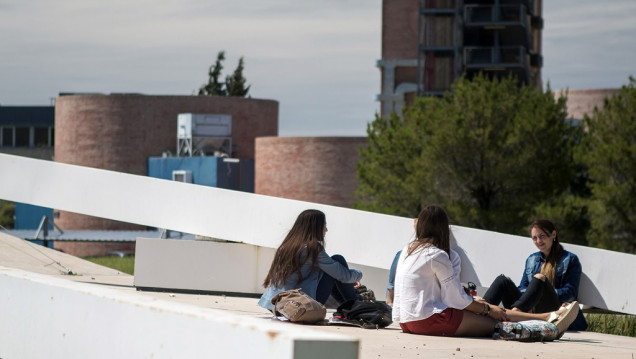 imagen ¿Por qué los estudiantes apoyan a los docentes universitarios?