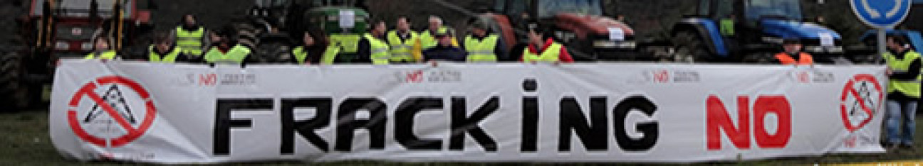 imagen Festival de Reggae "Paremos al Fracking"
