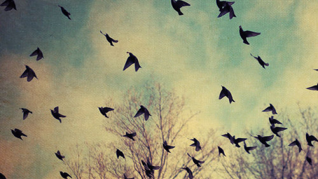 imagen ¿Existen reglas para el amor libre?