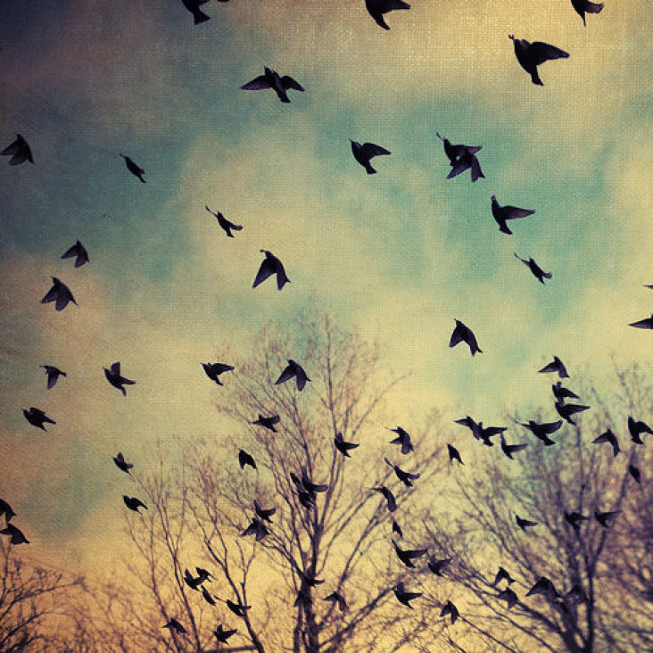 imagen ¿Existen reglas para el amor libre?