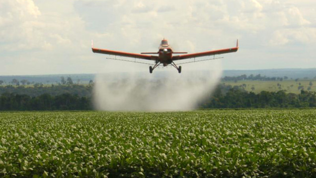 imagen Eleisegui: "El Gobierno blanqueó la decisión de habilitar el uso de pesticidas"