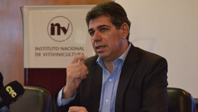 imagen "Esta cosecha ha sido muy complicada y va a impactar en un grado alcohólico más bajo", reconoció el titular del INV