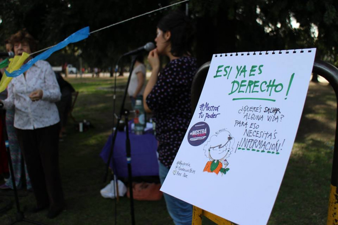 imagen Organizaciones piden que no se recorte el presupuesto para políticas de igualdad