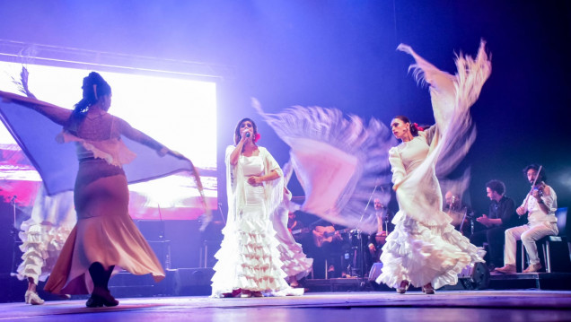imagen La "Gipsy Experience" brinda la última función del año el 27 de octubre