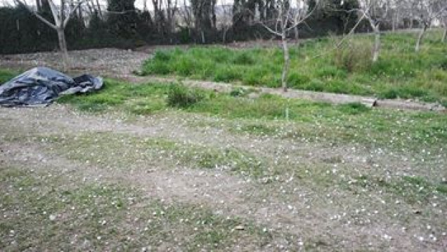 imagen La tormenta no causó tantos daños como se preveía