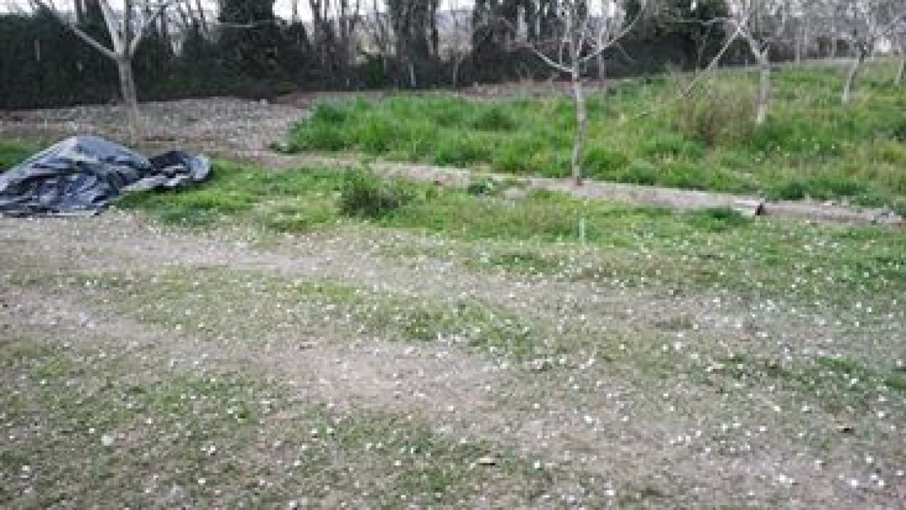 imagen La tormenta no causó tantos daños como se preveía