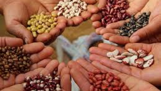imagen El presente de los Movimiento Nacional Campesino Indígena de Argentina