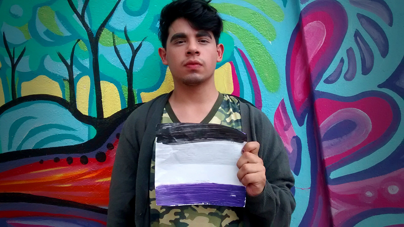 imagen La asexualidad se abre camino en Mendoza
