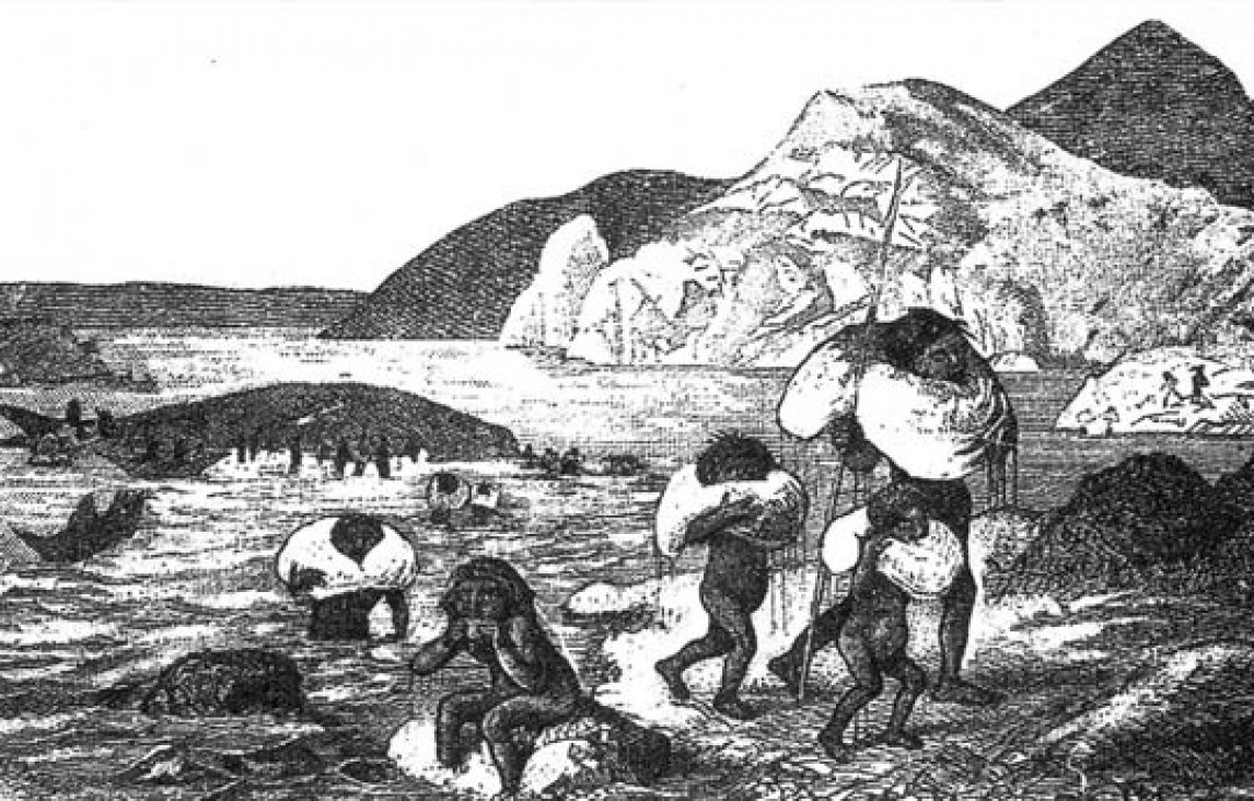 imagen Investigan sobre la solidaridad de los pueblos originarios 