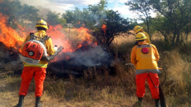 imagen El fuego en La Pampa arrasó cerca de 600 mil hectáreas