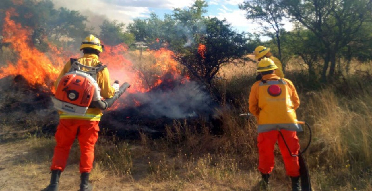 imagen El fuego en La Pampa arrasó cerca de 600 mil hectáreas