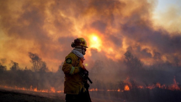 imagen Incendios en el Delta del Paraná: "En tres años se quemaron unas 900 mil hectáreas"
