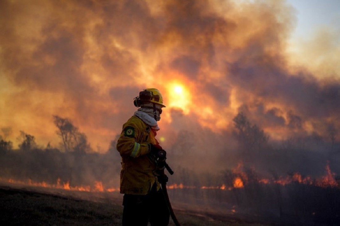 imagen Incendios en el Delta del Paraná: "En tres años se quemaron unas 900 mil hectáreas"