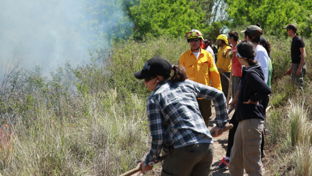 imagen "Se están atendiendo entre 12 y 13 incendios importantes"