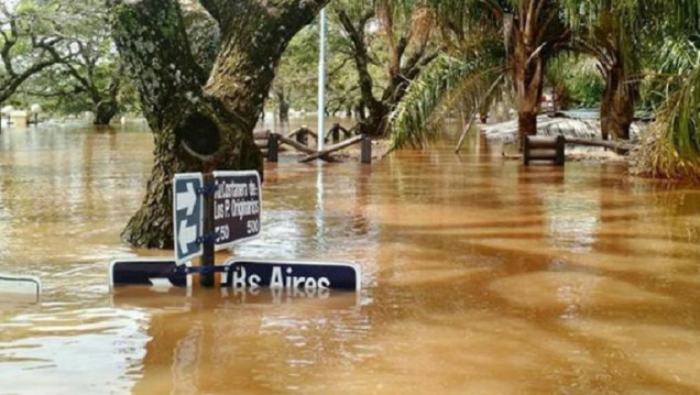 imagen Inundaciones en el Litoral: "La república unida de la soja"