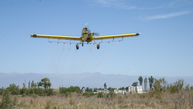 imagen #AgrotóxicosMatan: marchas contra la fumigación de cultivo de vid