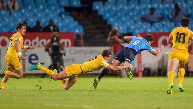 imagen ¡Vamos, Jaguares!