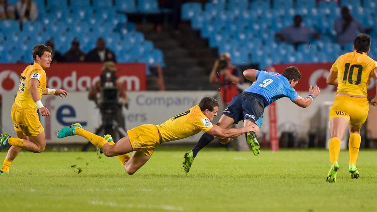 imagen ¡Vamos, Jaguares!