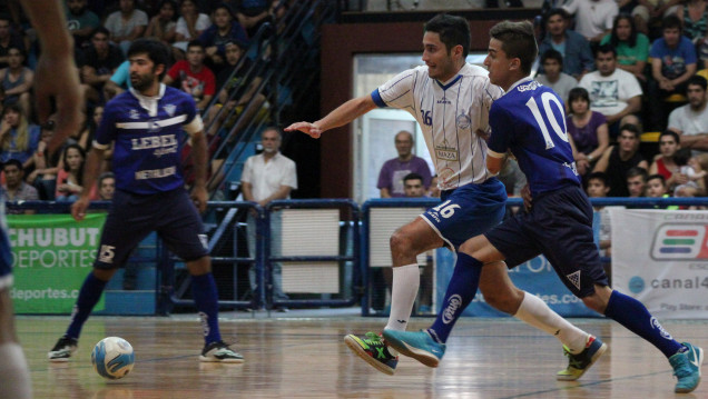 imagen Burrero sudamericano