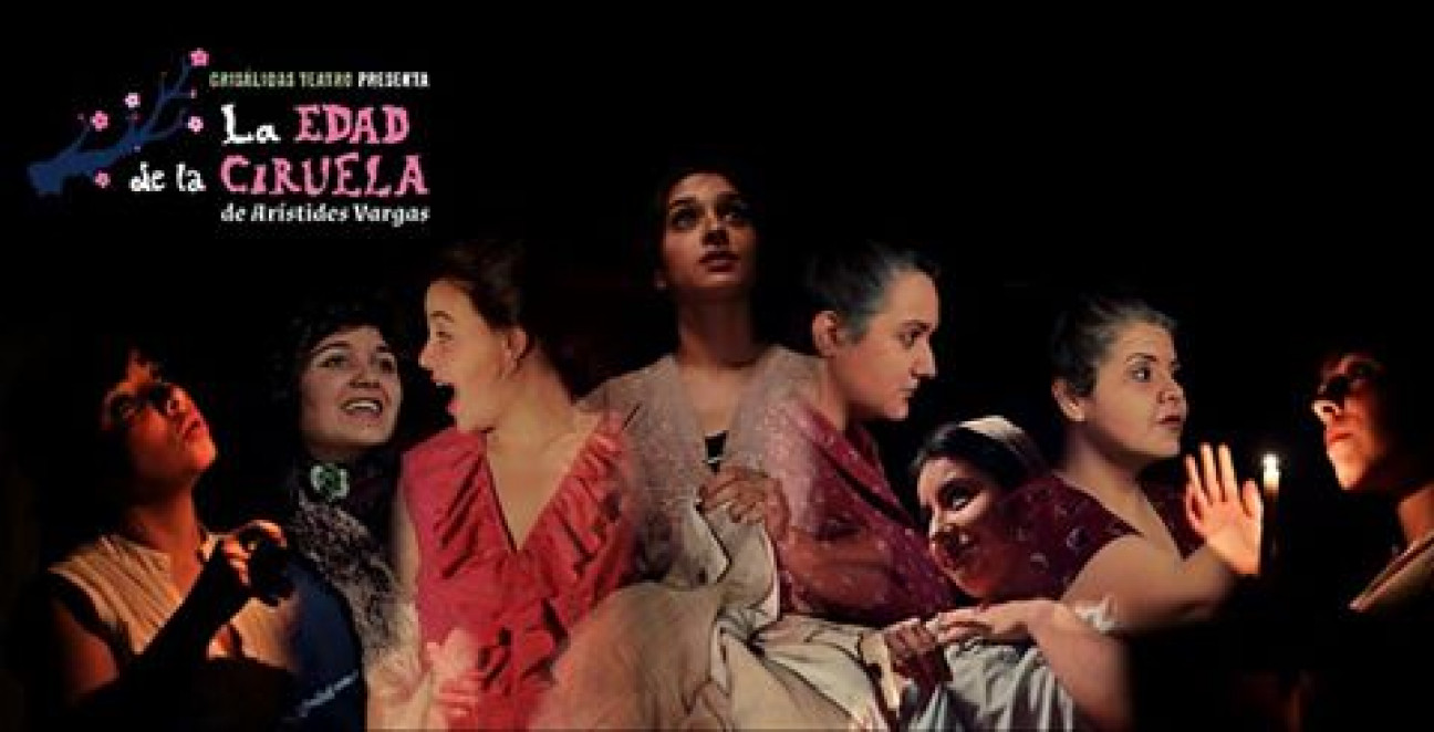 imagen "LA EDAD DE LA CIRUELA" en el Festival de Teatro por la Memoria