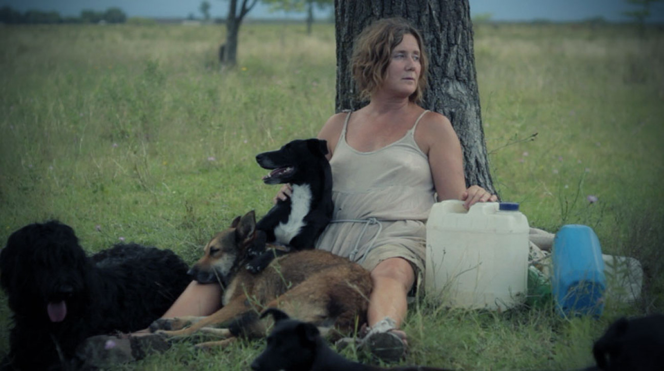 imagen Bafici 2015: "Fue maravilloso ver el encuentro entre directores, público y estudiantes"