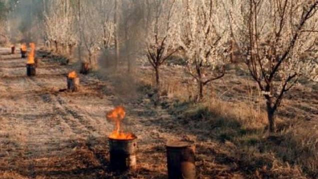 imagen Extienden la cobertura del Fondo Solidario Agrícola