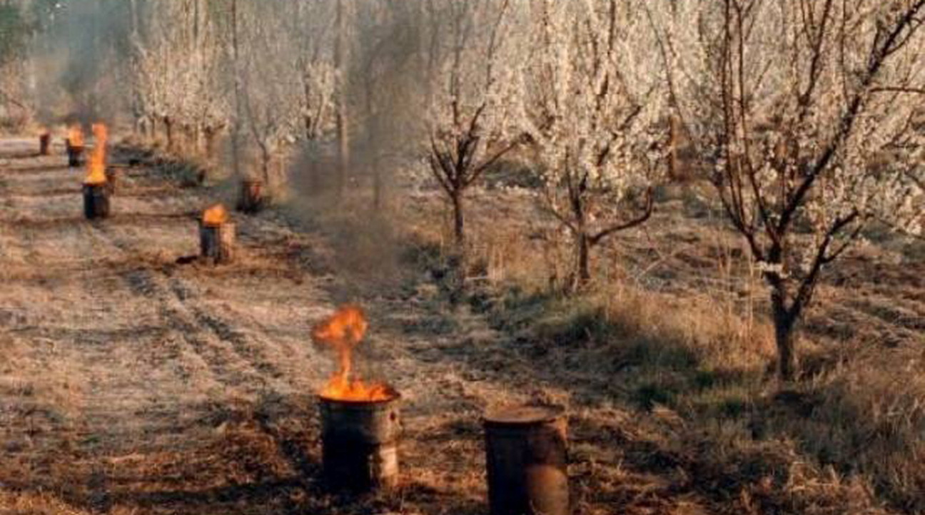imagen Extienden la cobertura del Fondo Solidario Agrícola