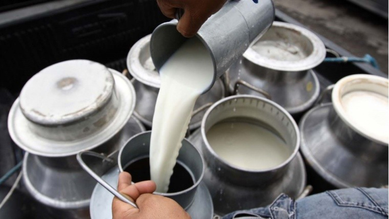 imagen Productores lecheros del país: "Estamos con una crisis muy profunda de rentabilidad"