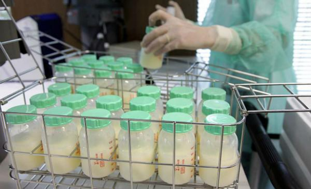 imagen Día Mundial de la Donación de Leche Humana