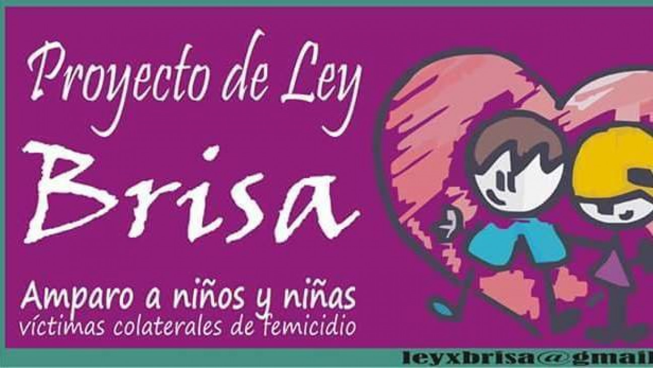 imagen Propician una ley de amparo a niños y niñas víctimas colaterales de femicidio