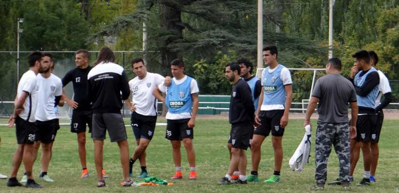 imagen Lobo tranquilo